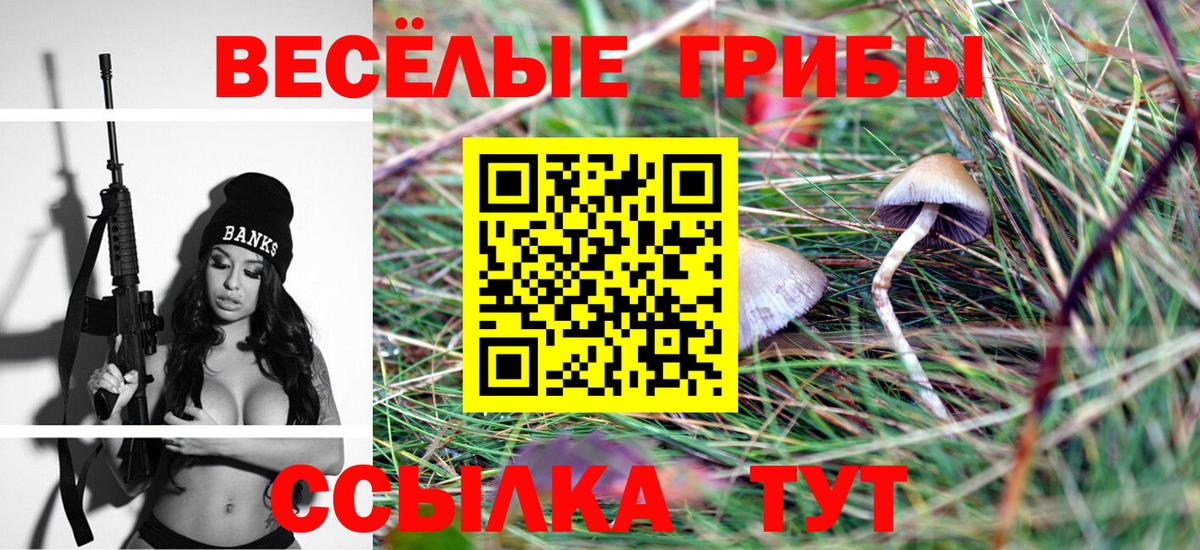 Галлюциногенные грибы ЛСД Мариинск