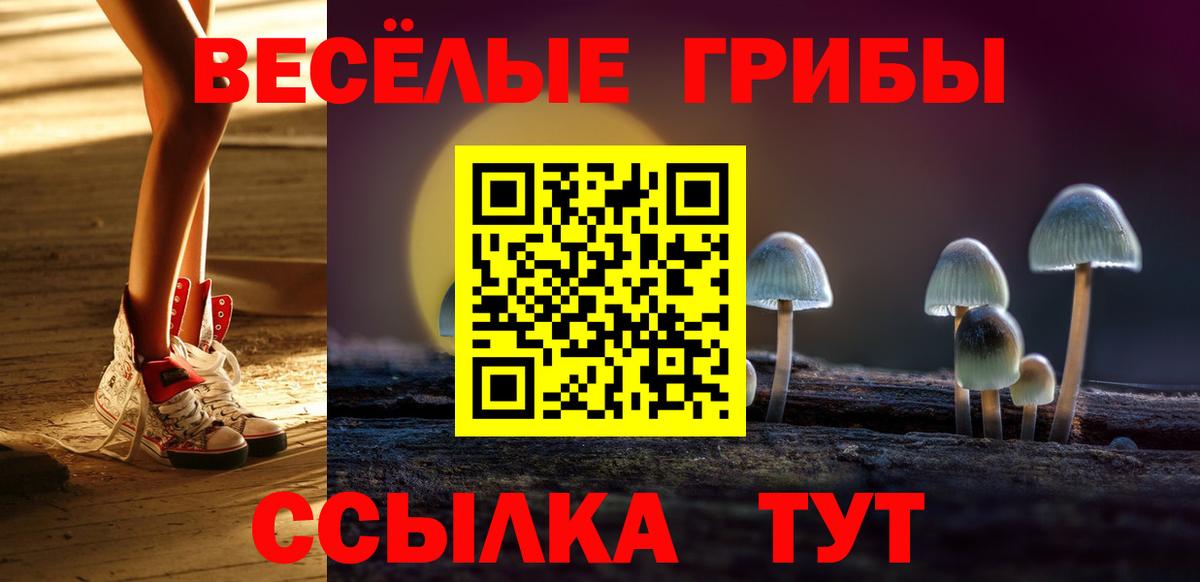 Мариинск  Псилоцибиновые грибы Psilocybe  Вход с VPN 